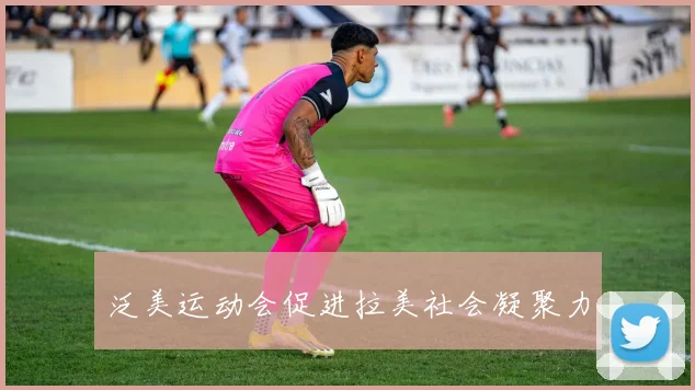 泛美运动会促进拉美社会凝聚力