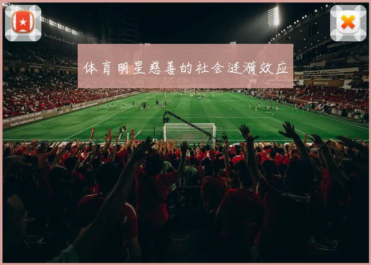 体育明星慈善的社会涟漪效应