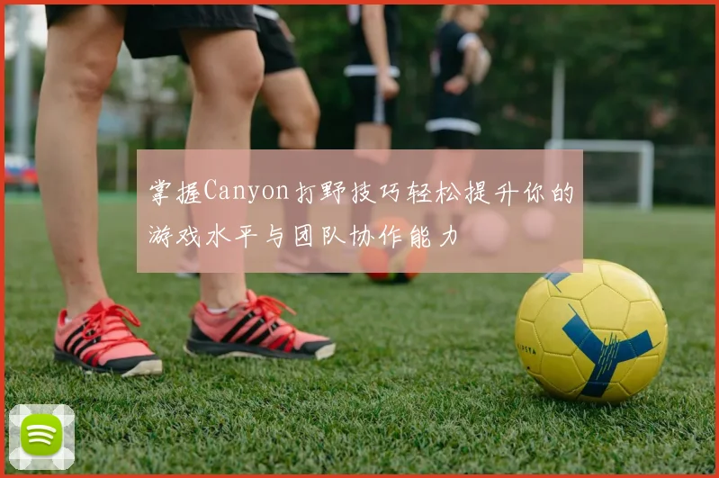 掌握Canyon打野技巧轻松提升你的游戏水平与团队协作能力