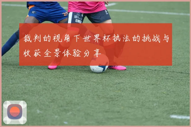 裁判的视角下世界杯执法的挑战与收获全景体验分享